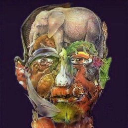 ����, ������, 30 ���