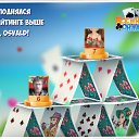 ���� �����, ������, 74 ���� - ��������� 6 ��� 2018 � ������ �������� �������-�������