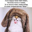 ���� ����, ������ - ��������� 15 ������� 2018 � ������ ������ ��������