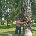 ���� ����, ����������, 52 ���� - ��������� 1 ���� 2018 � ������ ���� ����������