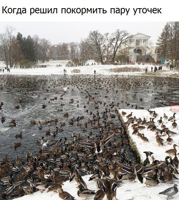  - 1  2017  08:10