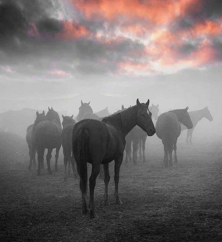 ***Victoria Viktorovna*** - 16 ����� 2018 � 02:37