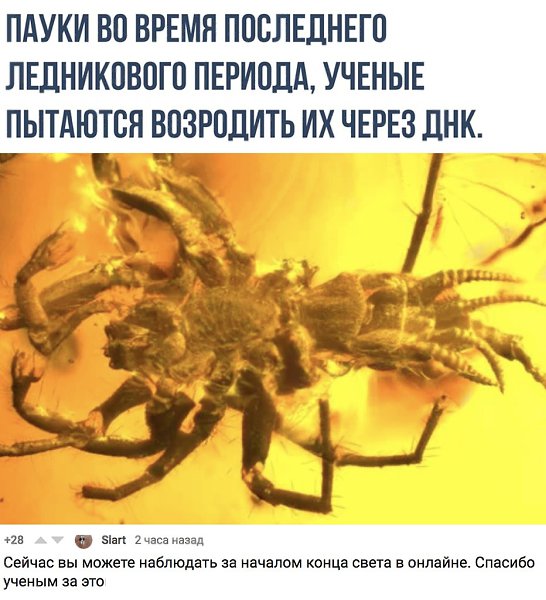    - 1  2018  02:42