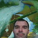 ���� ����, �����, 43 ���� - ��������� 6 ������ 2018 � ������ �߻