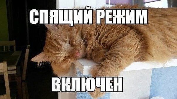��� �������� �������� - 20 ������� 2018 � 04:12