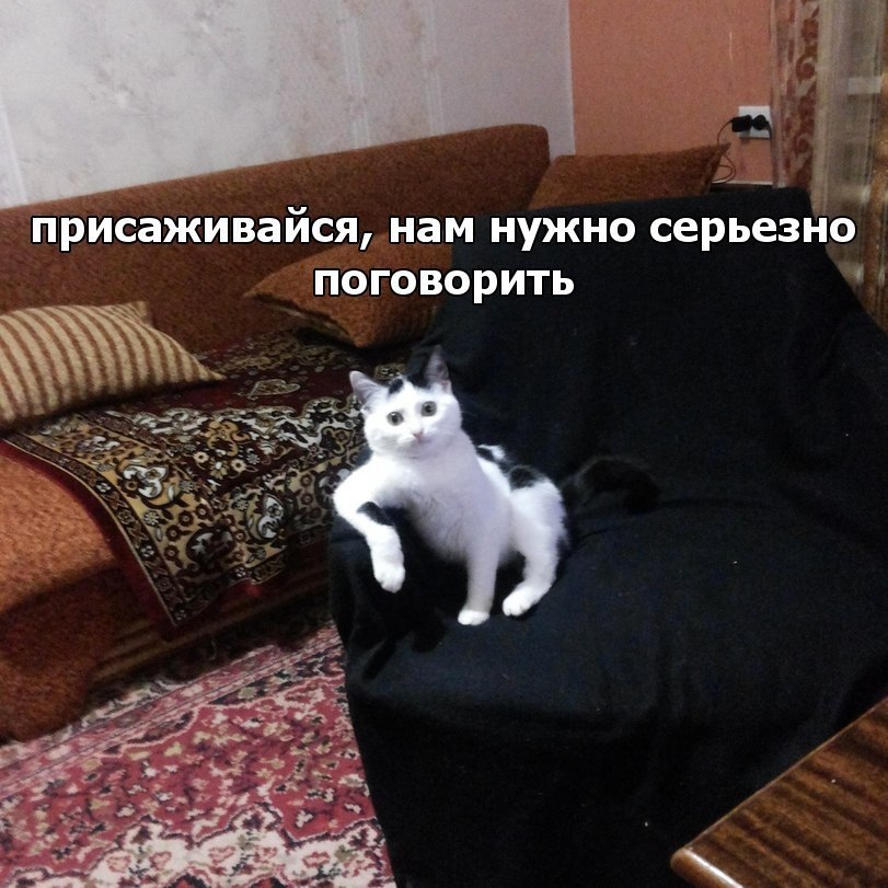      - 16  2018  03:52