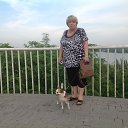 ���� Nata, ������ - ��������� 12 ������� 2017 � ������ ���� ����������