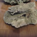 ���� ������, �����-���������, 44 ���� - ��������� 29 ������ 2018 � ������ ���� ����������