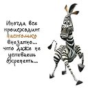 ���� �����, ������, 62 ���� - ��������� 2 ����� 2018 � ������ ������ ��������