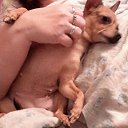 ���� ��������, ����������, 31 ��� - ��������� 25 ������ 2018 � ������ ���� ����������