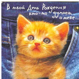 ���� �����, ������� - ��������� 13 ������� 2017