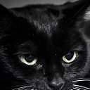 ���� ��������, ��������� - ��������� 1 ��� 2018 � ������ ���� ����������