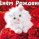 ���� �����, ����� - ��������� 1 ������� 2018