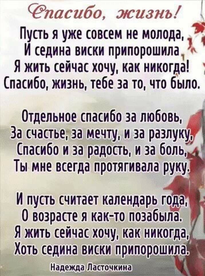 !       -    ,  ,   ...