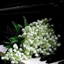 ���� �����, ��������� - ��������� 26 ������� 2017 � ������ ������ ��������