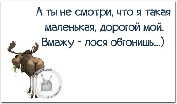   - 22  2018  02:26
