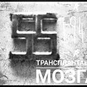  Maxim, , 41  -  12  2018   music