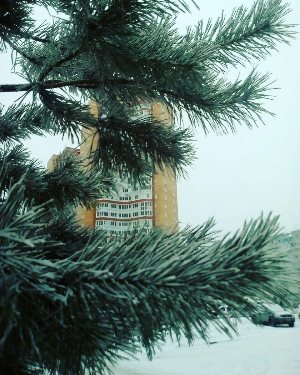  - 1  2017  03:53