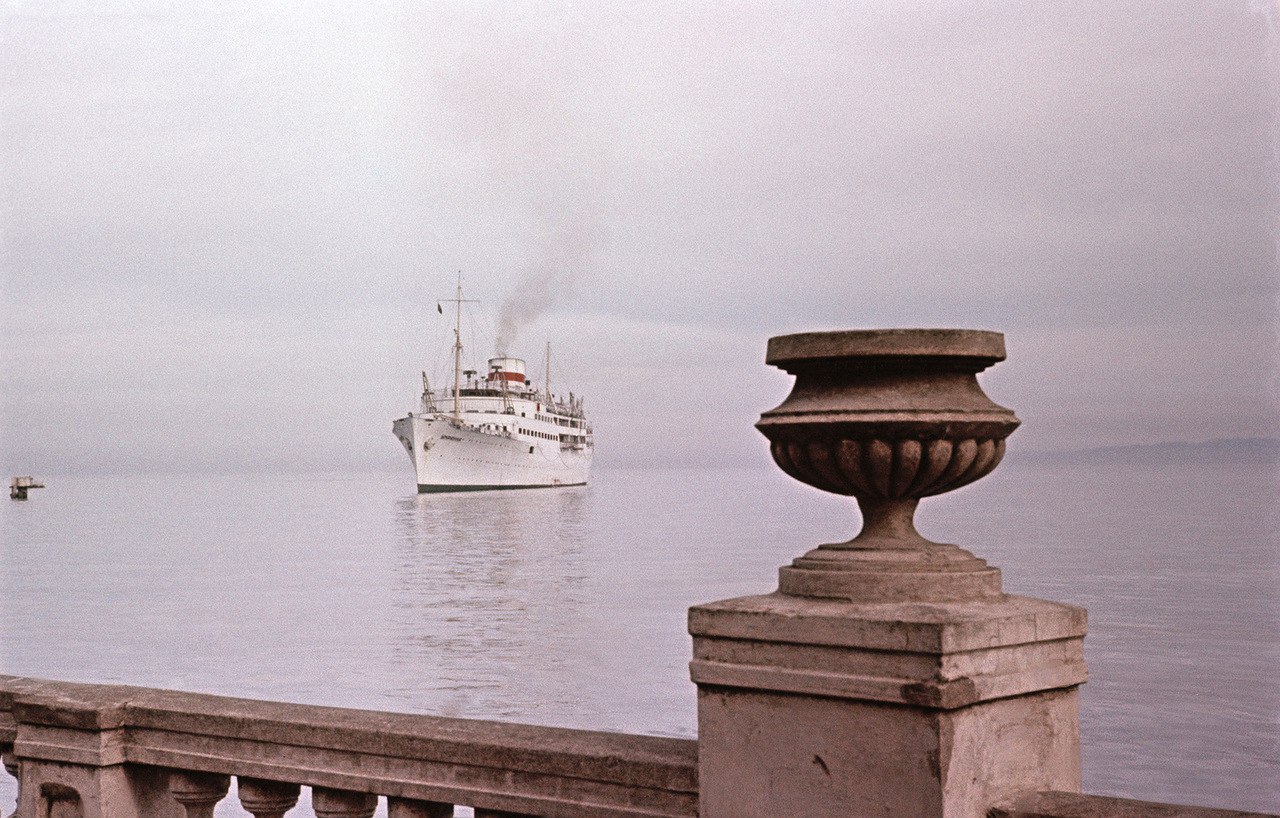     1950-    - 4