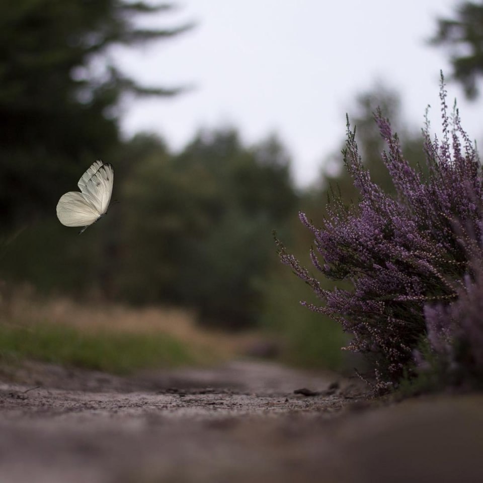     .     .     .  , ... - 7