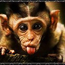 ���� �����, ��������� - ��������� 18 ������ 2018 � ������ ���� ���� ������