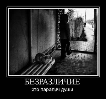 И однажды наступает тот жуткий момент, когда становится все равно.. Это хуже, чем больно, грустно ...