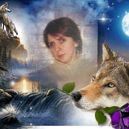 ���� ��������, ������ ��������, 54 ���� - ��������� 3 ���� 2018