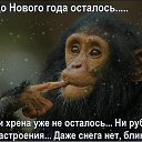  ♥♥♥♥,  -  29  2017    