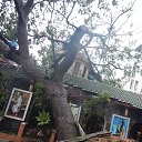 ���� �����������, ���������, 66 ��� - ��������� 3 ������� 2017