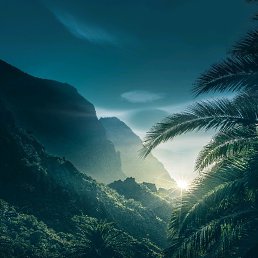 �������, ������, 43 ����