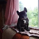 ���� ���������, �����-��������� - ��������� 10 ���� 2018