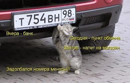 �����������