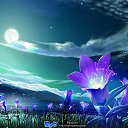 ���� Vera, ������ - ��������� 5 ���� 2018 � ������ ������ ��������