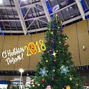 ���� ����, ������������, 41 ��� - ��������� 10 ������ 2018 � ������ ������ ��������