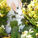  -   !,  -  14  2018    .   2018