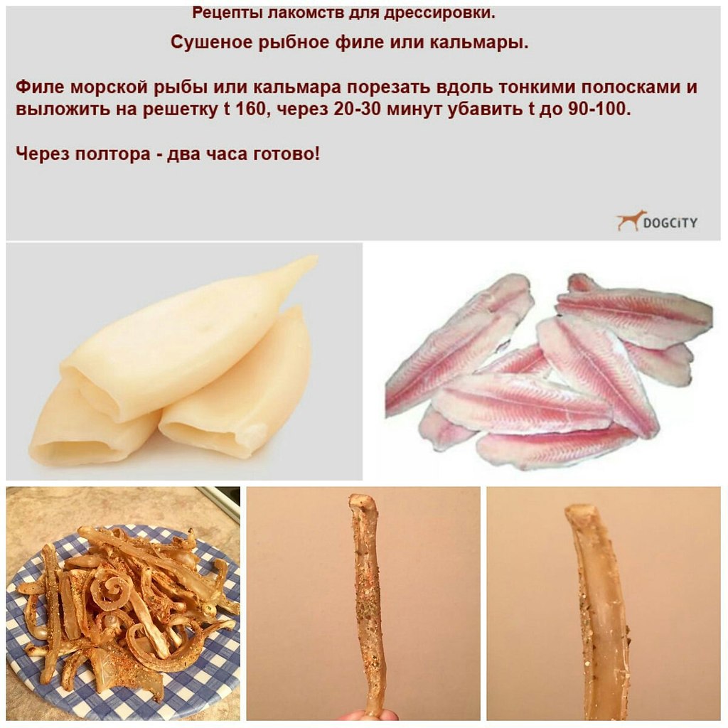  ,     ,   .  ! - 4