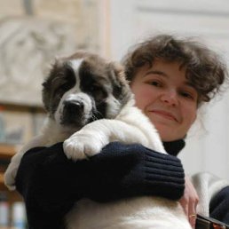 �����, �����������, 51 ���