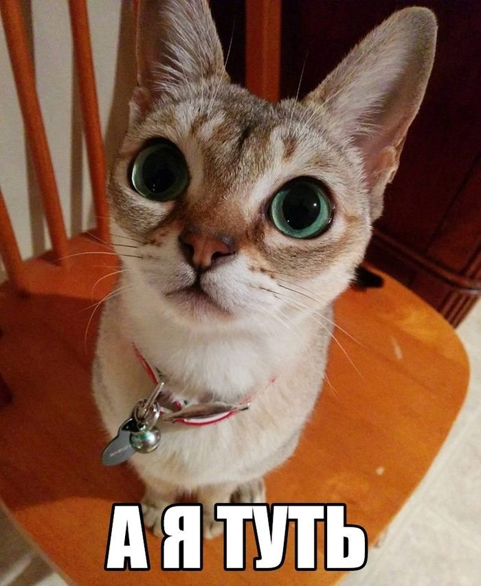  ,    :