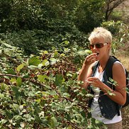 �����, 47 ���, ������