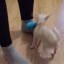 ���� Fatinyia, ����� - ��������� 17 ������� 2017 � ������ ����� ������� �������