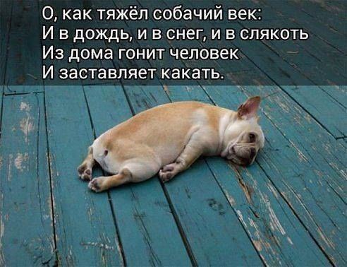 )))