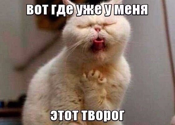 SportFeed - 24 ����� 2018 � 03:59