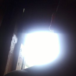 ���� Zloi, �����������, 46 ��� - ��������� 12 ���� 2018