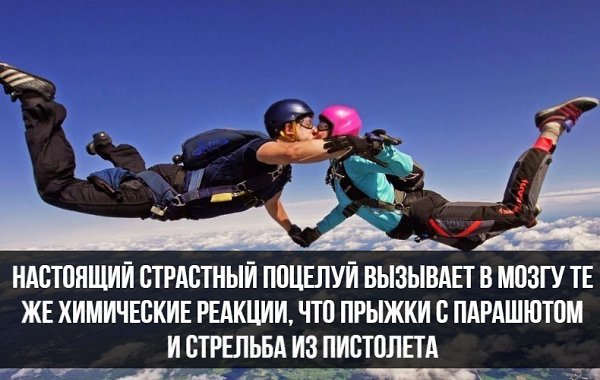 ������� - 5 ������ 2018 � 03:33