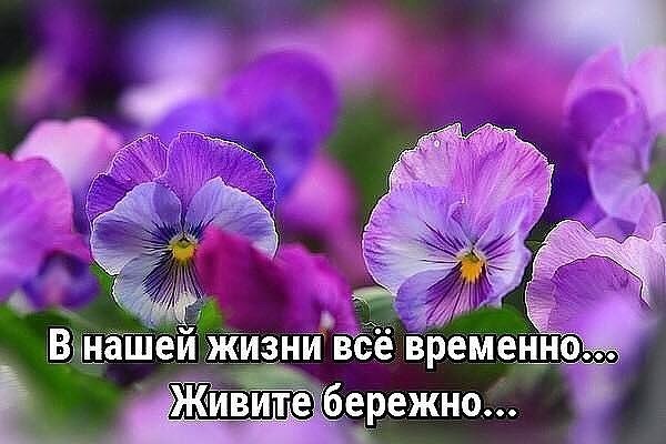 Не Знаешь, где Найдешь, где Потеряешь, Чтоб не упасть – Соломку б подстелил… Но каждый День с ...