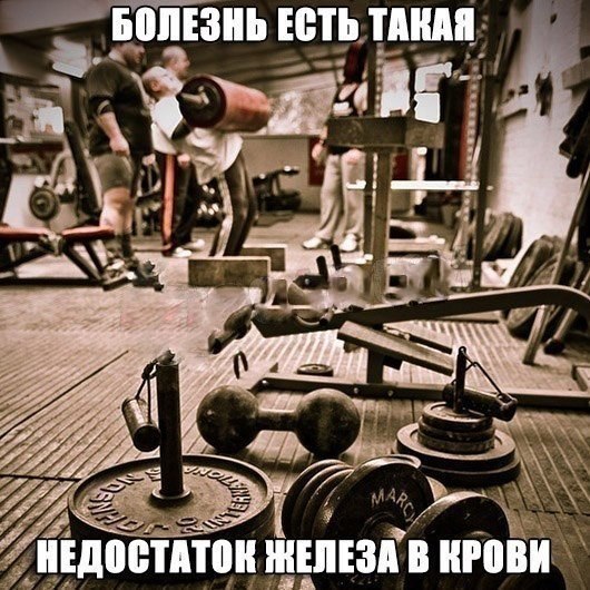  -   - 24  2017  03:59
