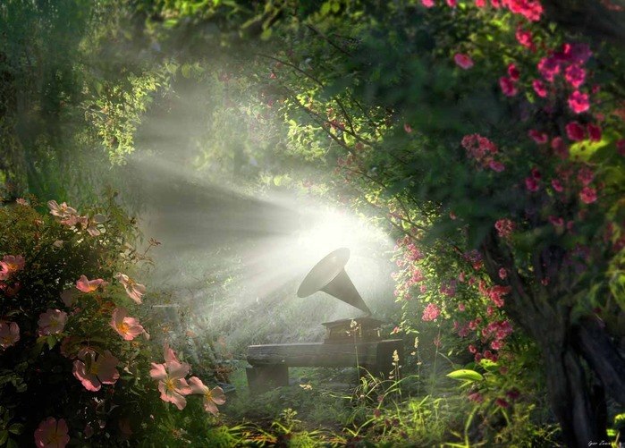 ))).  Igor Zenin!!!