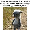   ,  -  26  2018    