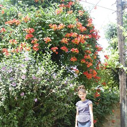 Yildiz, �������