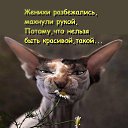 ���� Tanya, ����������� - ��������� 23 ������� 2017 � ������ ���� ����������